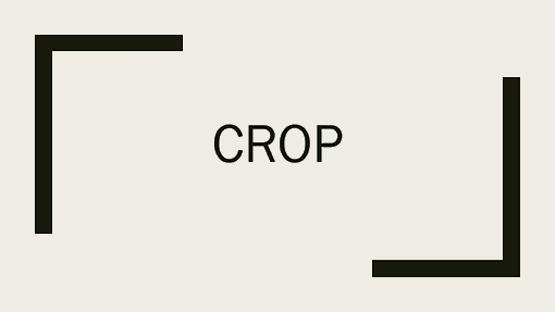 Crop