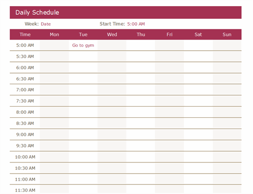 Daily Schedule Daily Schedule