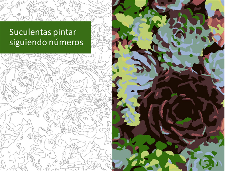 Pintar suculentas siguiendo números Pintar suculentas siguiendo números