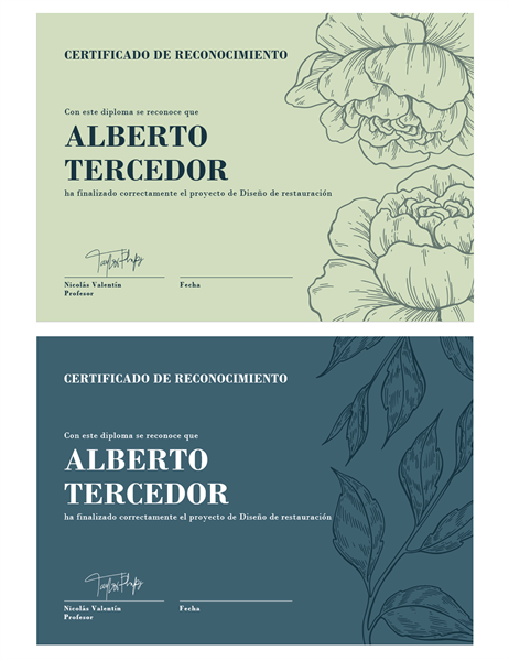 Certificado de reconocimiento Certificado de reconocimiento