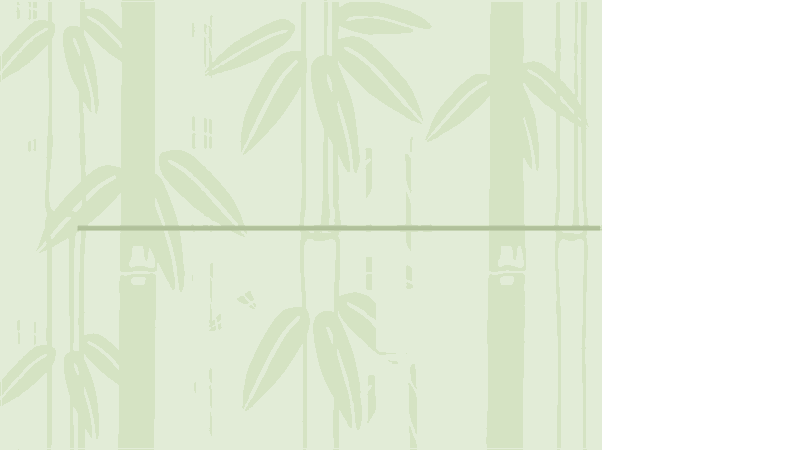 Plantilla de diseño de bambú 2