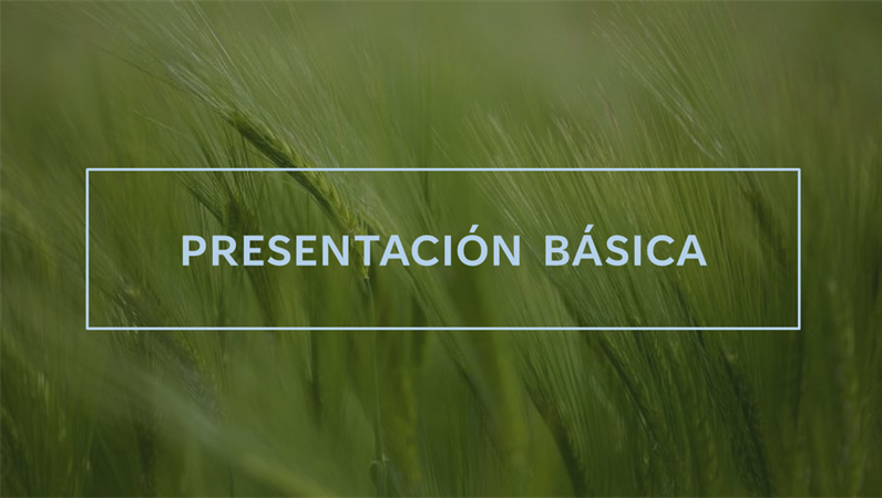 Presentación verde para inversores Presentación verde para inversores