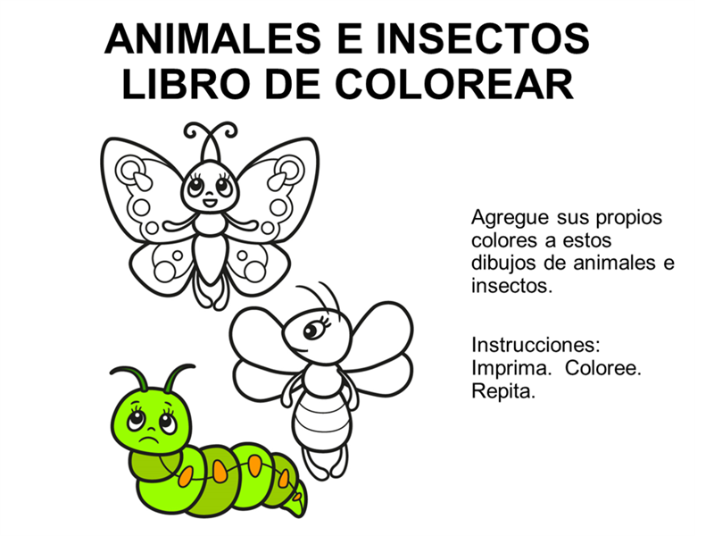 Libro para colorear animales y insectos Libro para colorear animales y insectos