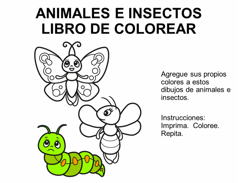 Libro para colorear animales y insectos
