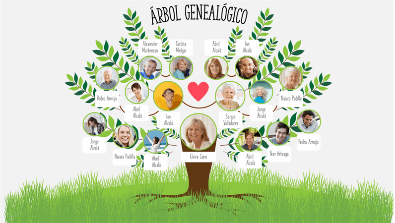 Árbol genealógico