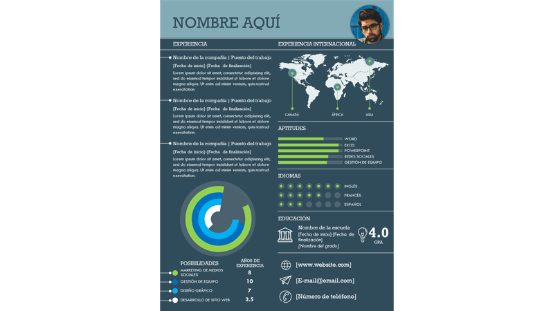 Currículum infográfico internacional