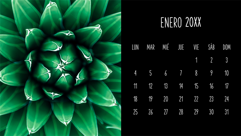 Calendario mensual de suculentas Calendario mensual de suculentas