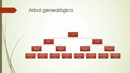Gráfico de árbol genealógico (vertical, verde, rojo, panorámico)