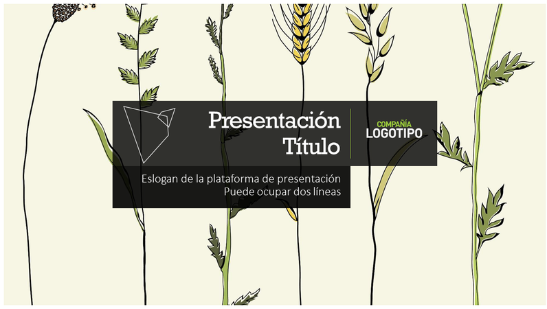 Plataforma de presentación Plataforma de presentación