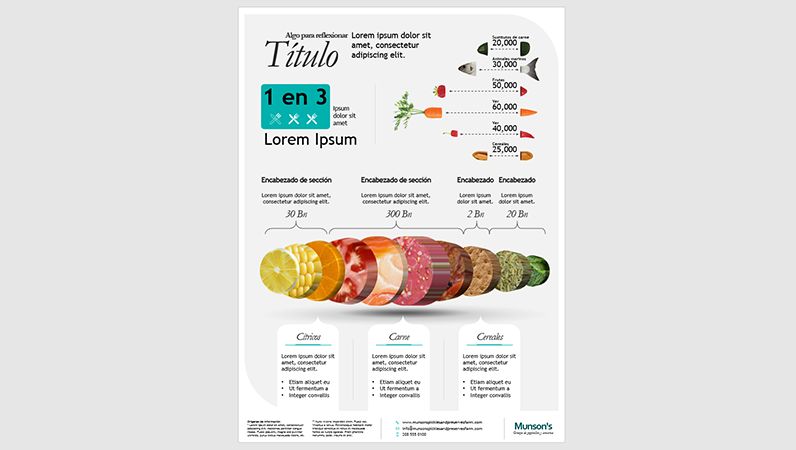 Póster infográfico de alimentos