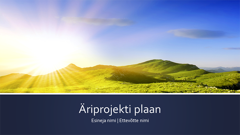 Äriprojekti plaani esitlus (laiekraan) Äriprojekti plaani esitlus (laiekraan)