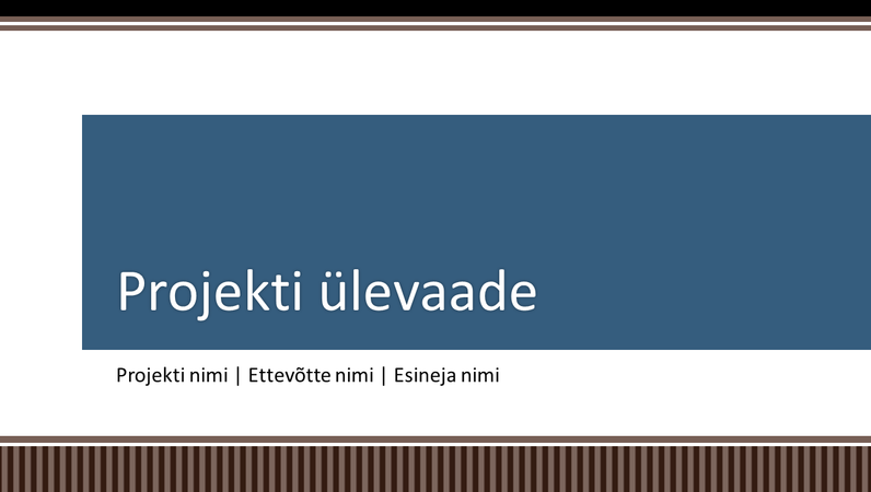 Äriprojekti kavandi ülevaate esitlus Äriprojekti kavandi ülevaate esitlus