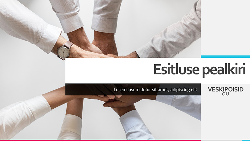 Erk äriotstarbeline esitlus Erk äriotstarbeline esitlus