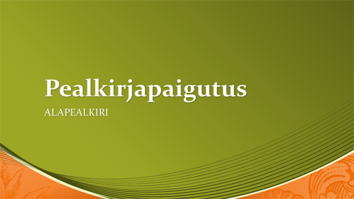 Rahateemalise kujundusega äriesitlus (laiekraan) Rahateemalise kujundusega äriesitlus (laiekraan)