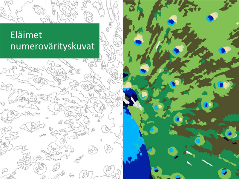 Numeroväritetyt eläimet Numeroväritetyt eläimet