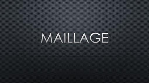 Maillage - Sombre 1 Maillage - Sombre 1