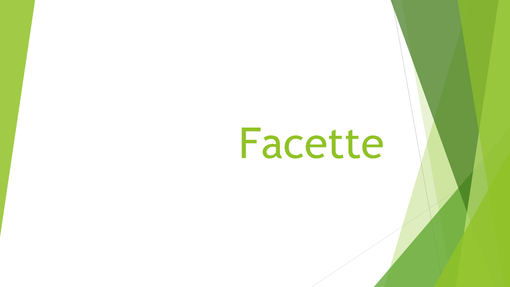 Facette Facette