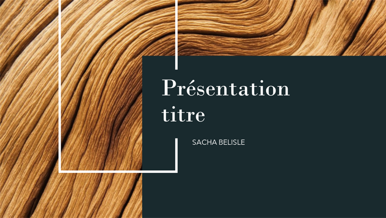 Présentation Bois foncé Présentation Bois foncé