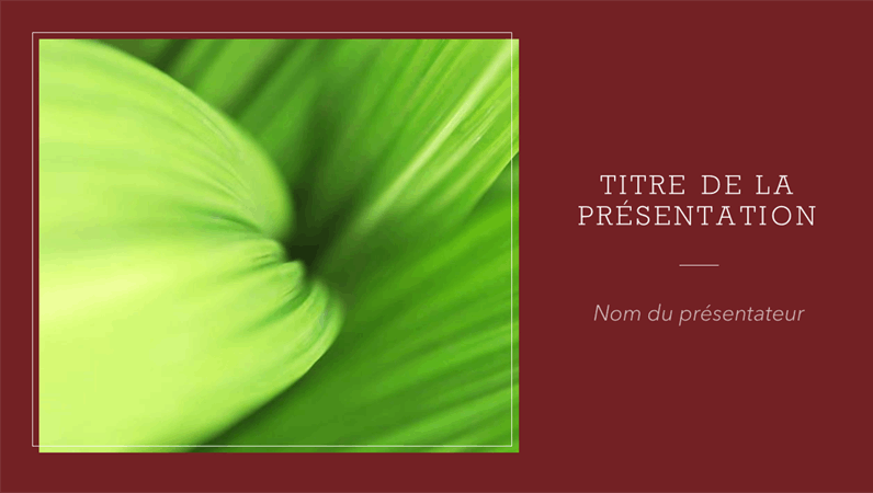 Design « Feuilles » Design « Feuilles »