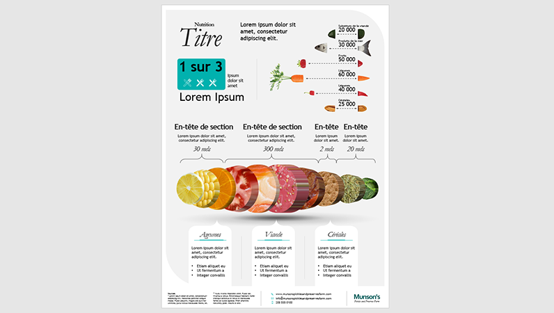 Affiche d’infographie nutritionnelle