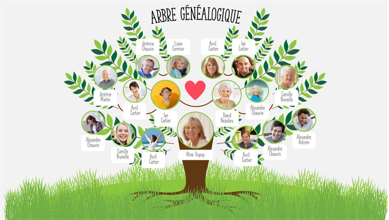 Arbre Genealogique