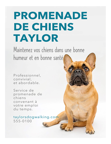 Papillon pour promeneur de chiens Papillon pour promeneur de chiens