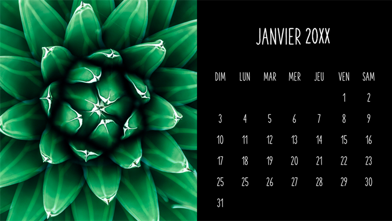 Calendrier mensuel Succulentes Calendrier mensuel Succulentes