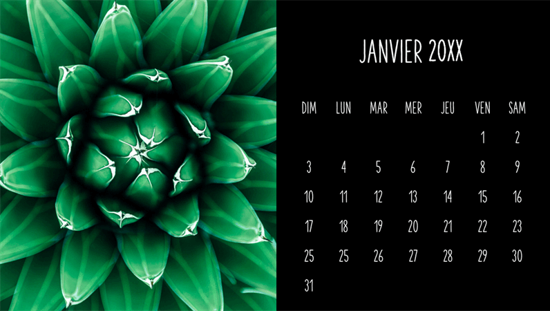 Calendrier mensuel de succulentes Calendrier mensuel de succulentes