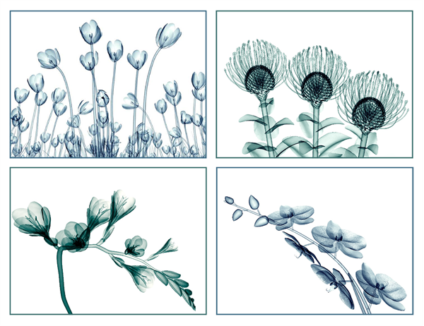 Cartes de vœux de vues à fleurs (10 cartes, 2 par page) Cartes de vœux de vues à fleurs (10 cartes, 2 par page)