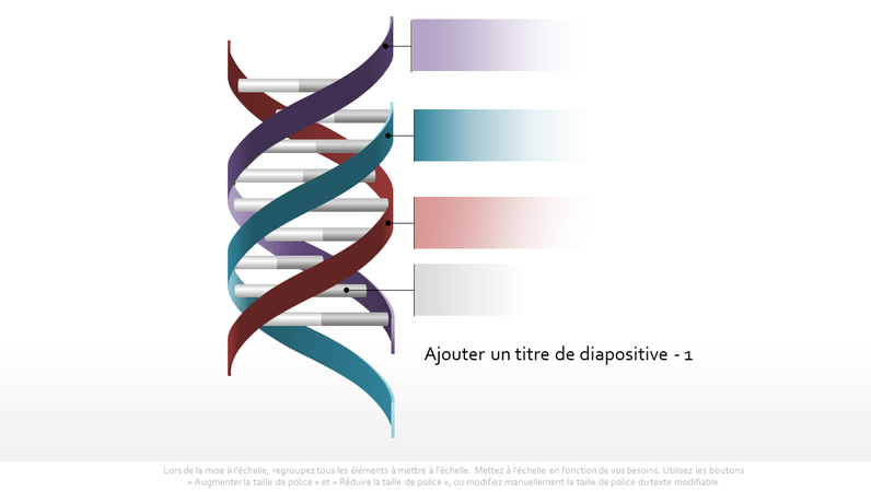 Graphique Triple hélice d’ADN