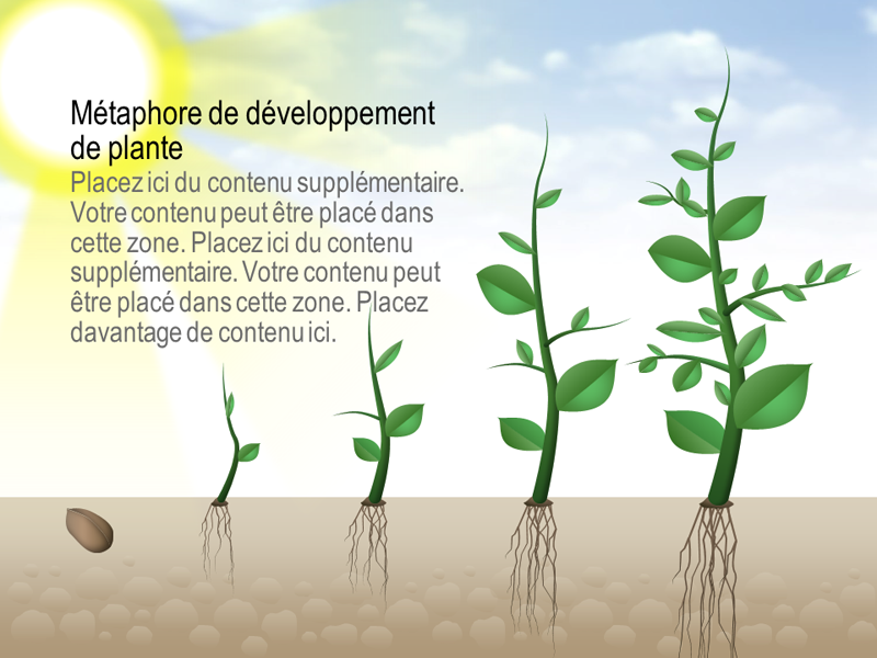 Graphique Développement d’une plante