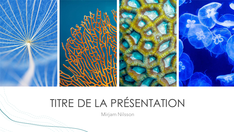 Présentation océan Présentation océan