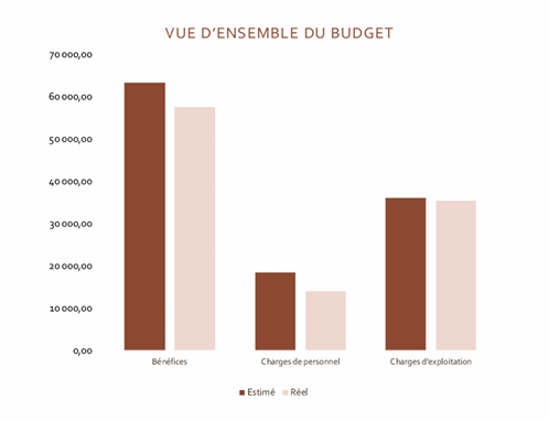 Budget d'entreprise