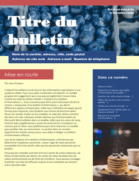 Bulletin d’informations professionnel (2-col., 6-pp., service de publipostage) Bulletin d’informations professionnel (2-col., 6-pp., service de publipostage)