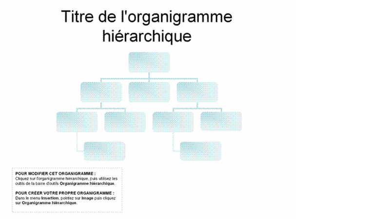 Organigramme hiérarchique de base