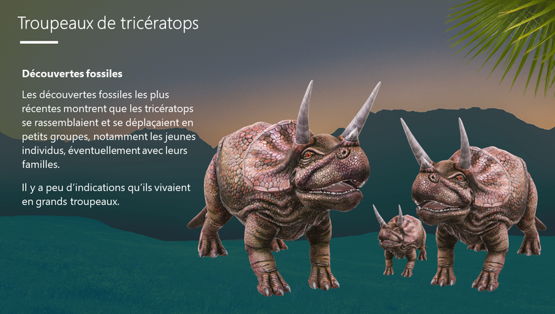 Triceratops - Le dinosaure à trois cornes