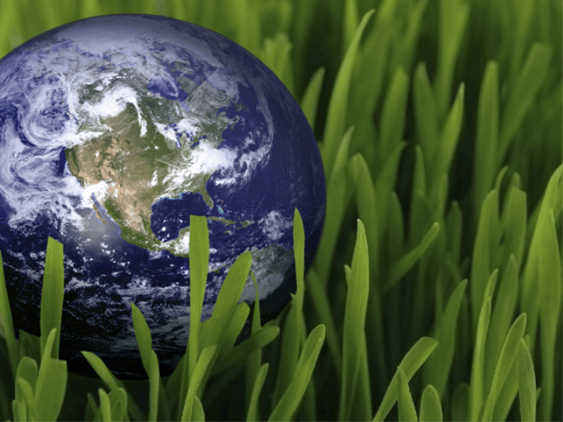 Thème écologie - Terre sur herbe