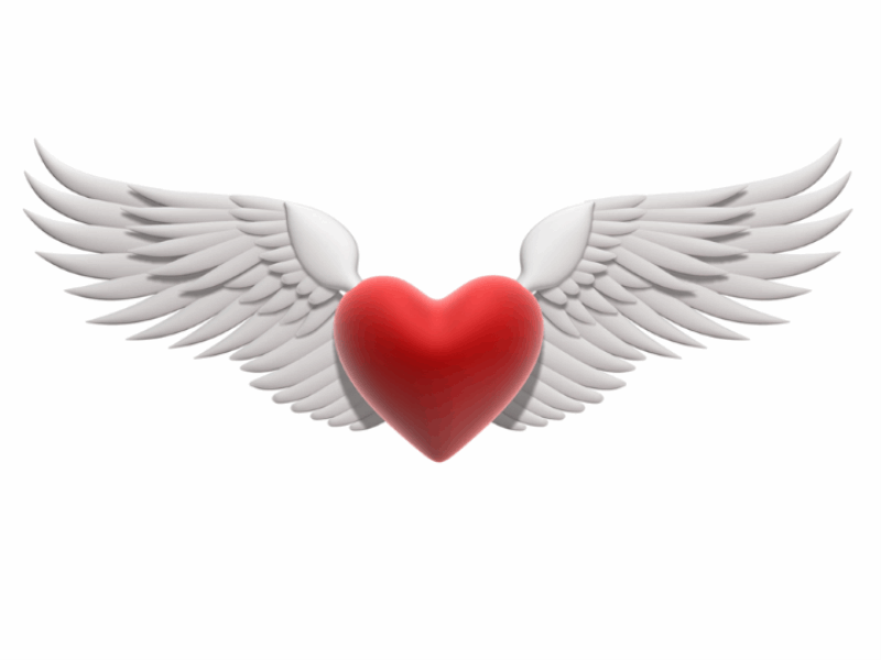 Thème Saint Valentin - Concept coeur d'ange