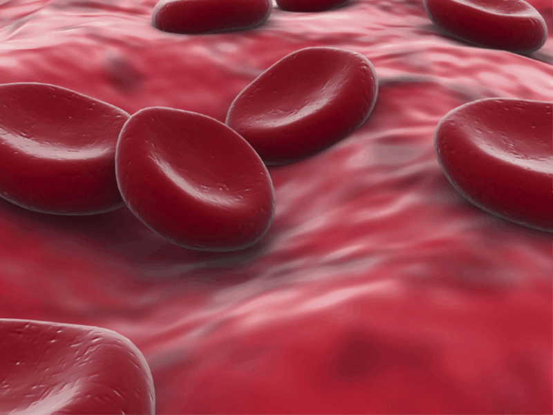 Thème santé - Globule rouge zoom