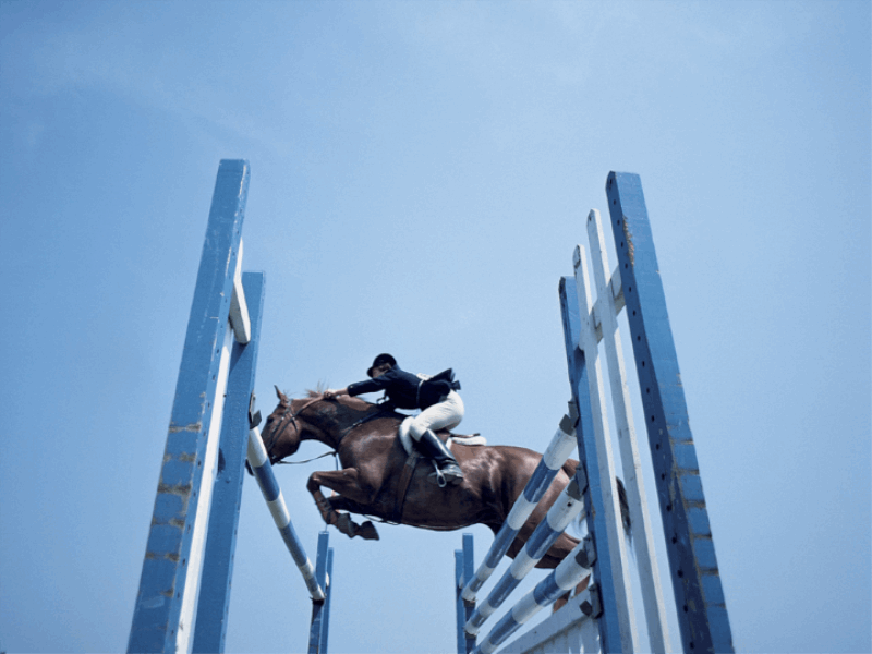 Thème équitation - Obstacles
