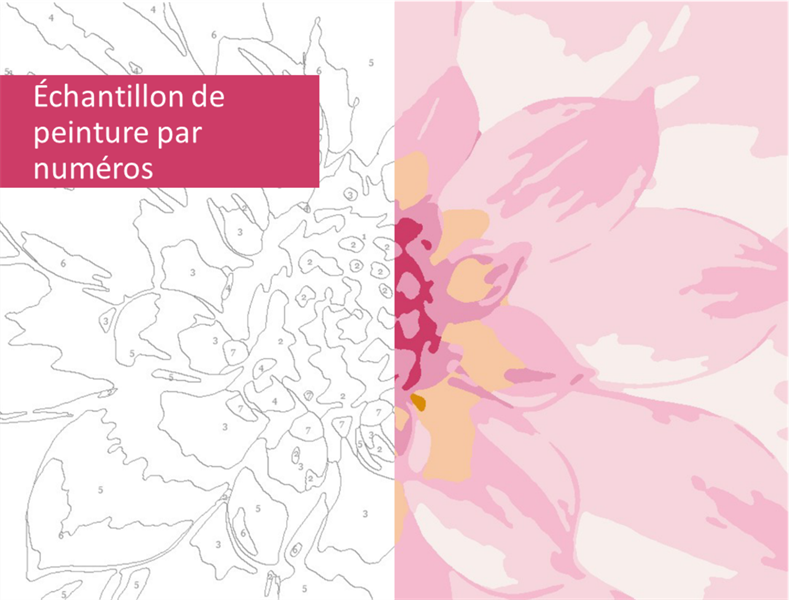 Échantillon de peinture par numéros Échantillon de peinture par numéros