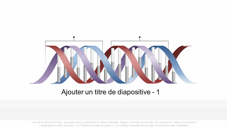 Graphique ADN horizontal