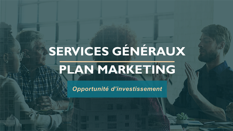 Plan marketing des services professionnels Plan marketing des services professionnels
