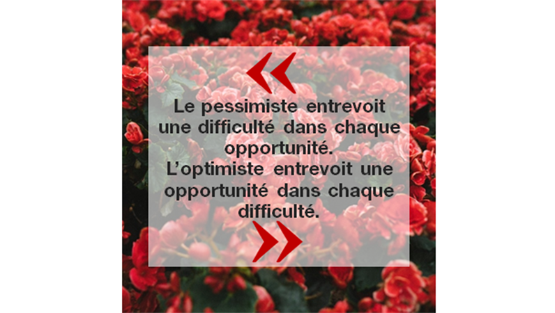 Place de citations et de nouvelles sur Instagram Place de citations et de nouvelles sur Instagram