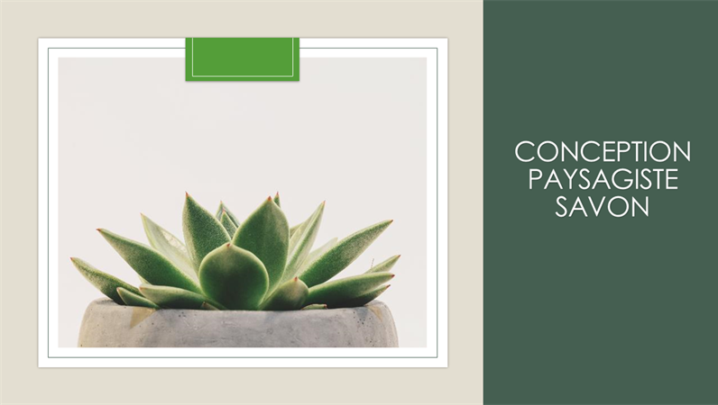 Conception de savon jardin Conception de savon jardin