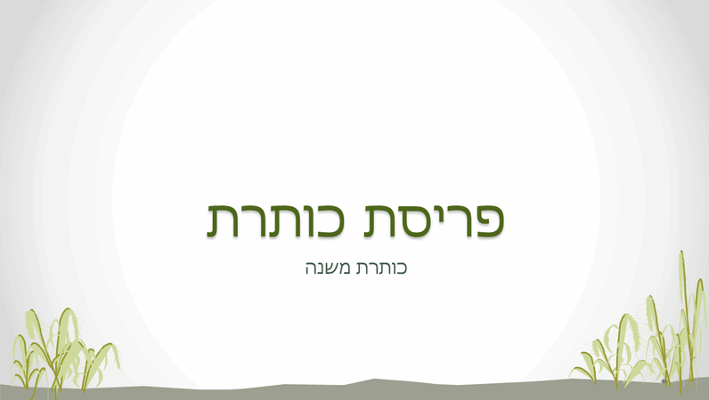 שקופיות עם עיצוב של חוף ים שקופיות עם עיצוב של חוף ים