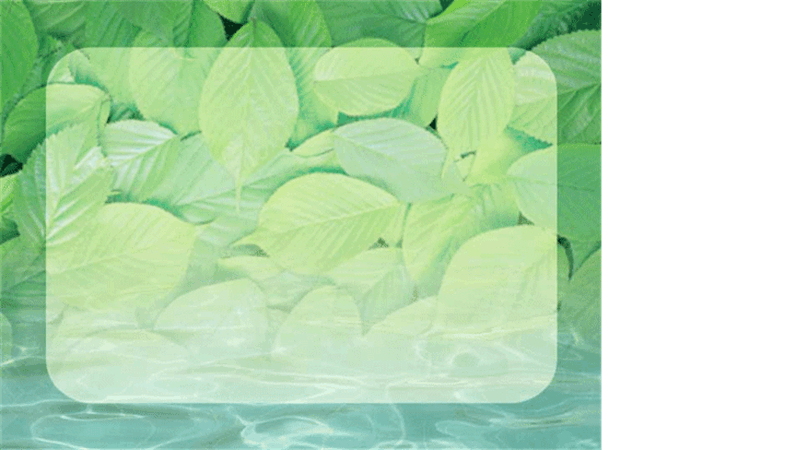 Predložak dizajna s uzorkom ribnjaka