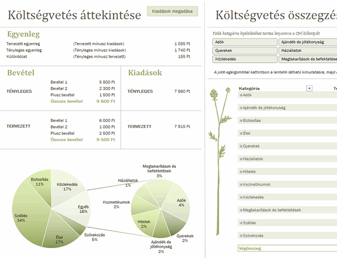 Családi költségvetés (havi) Családi költségvetés (havi)