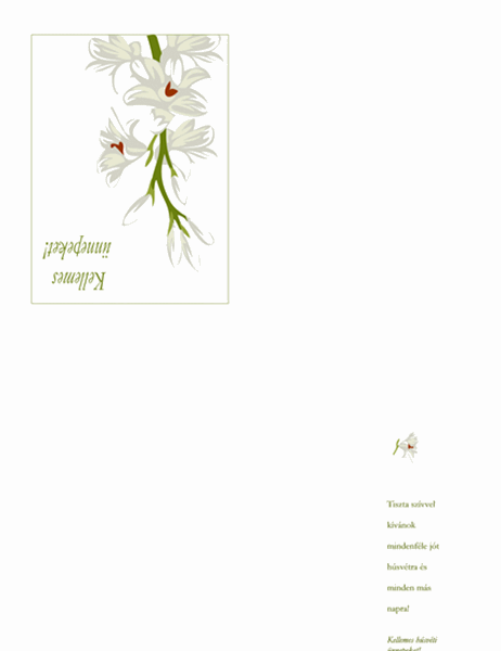 Húsvéti üdvözlőlap (virágszállal)