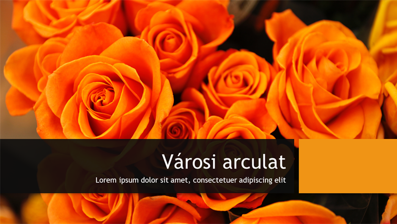 Nagyvárosi Berlin arculat Nagyvárosi Berlin arculat